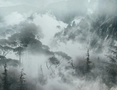 Nature wall mural with foggy trees and rocks in gray colors