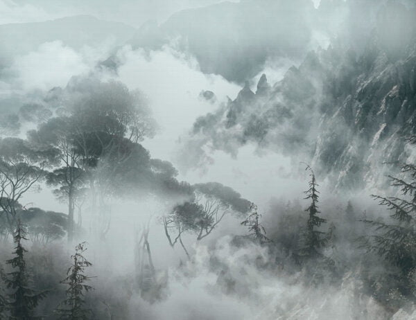 Nature wall mural with foggy trees and rocks in gray colors