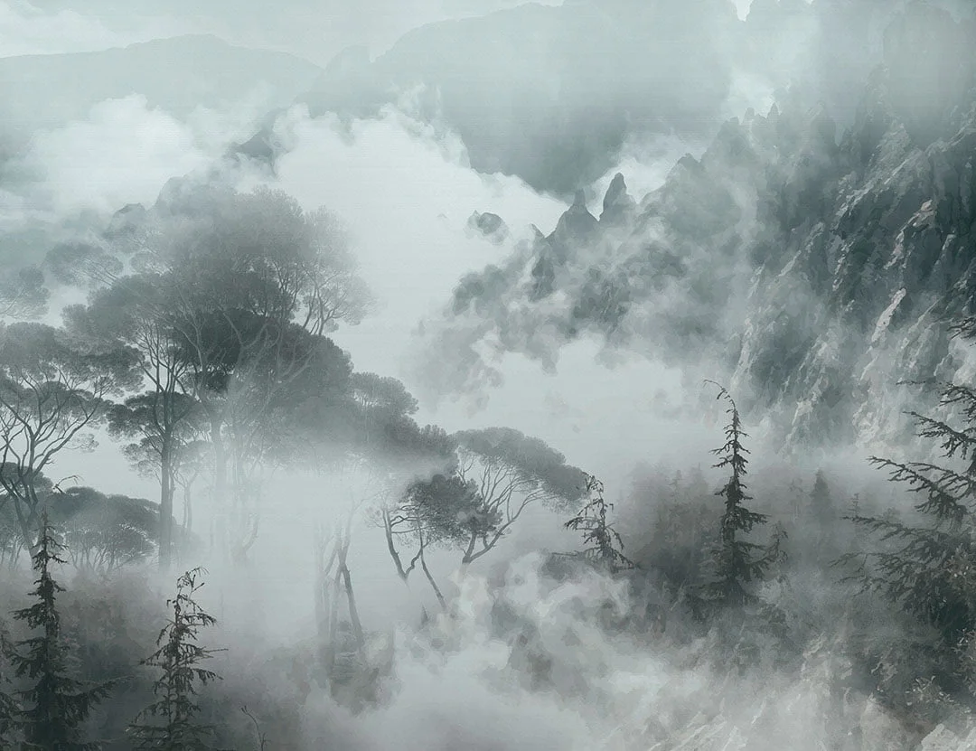 Nature wall mural with foggy trees and rocks in gray colors