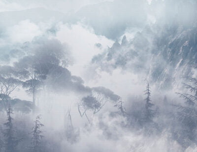 Nature wall mural with foggy trees and rocks in blue colors