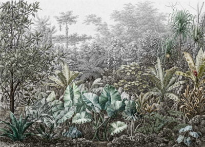 Grunge etching tropical wall mural with leaves and trees