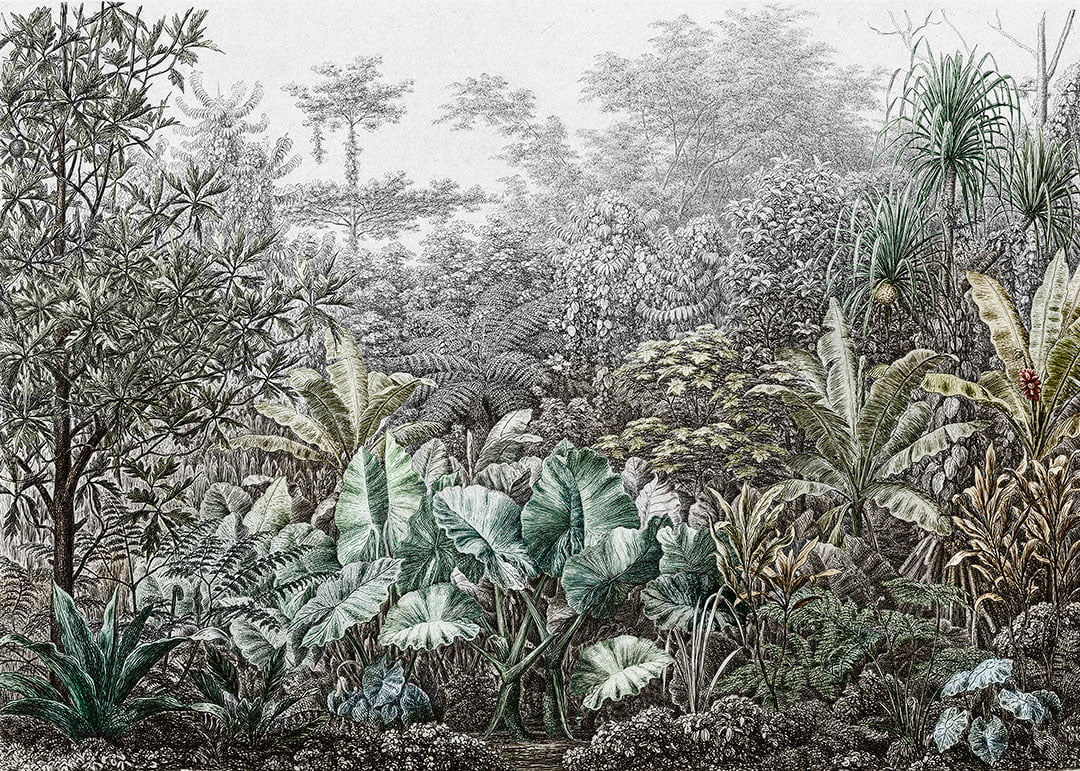 Grunge etching tropical wall mural with leaves and trees