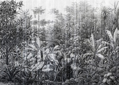 Grunge etching textured wall mural with tropical leaves and trees in black and white