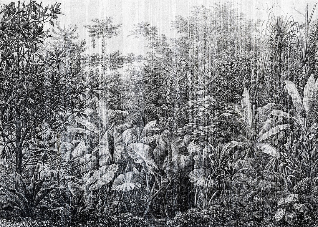 Grunge etching textured wall mural with tropical leaves and trees in black and white