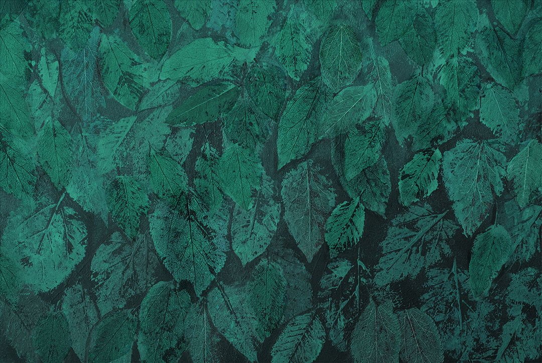Nature wall mural with dark green hand-drawn imprints of leaves