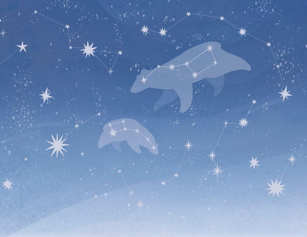 Constellation Ursa Major and Ursa Minor wall mural