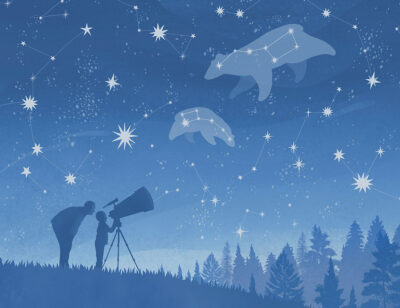 Constellation above the forest and a telescope kids wall mural