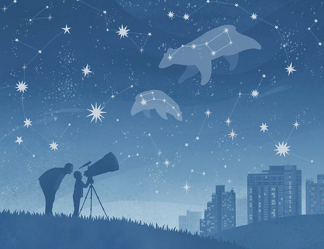Constellation above the city and a telescope kids wall mural