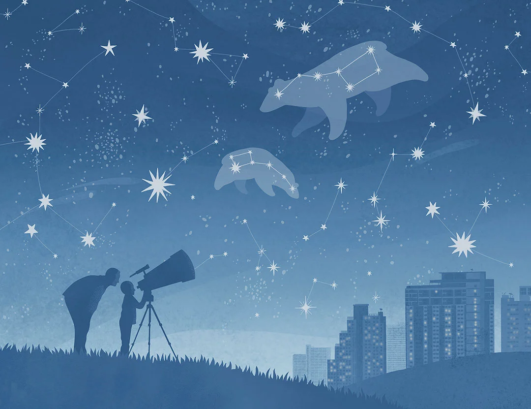 Constellation above the city and a telescope kids wall mural