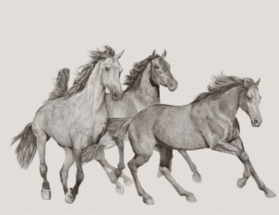 Detailed hand-drawn horses wall mural