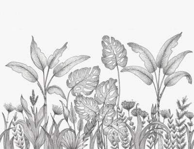 Hand-drawn tropical plants wall mural in black and white