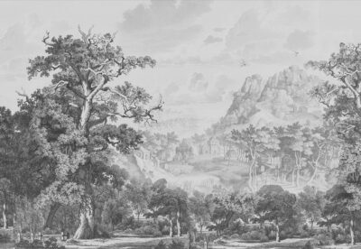Vintage gray etching forest and mountains wall mural
