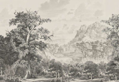 Vintage etching forest and mountains wall mural