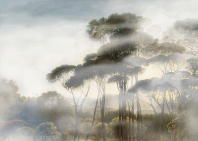 Forest in the fog wall mural