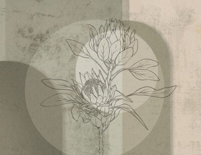 Geometric wall mural with protea flower in brown and gray colors