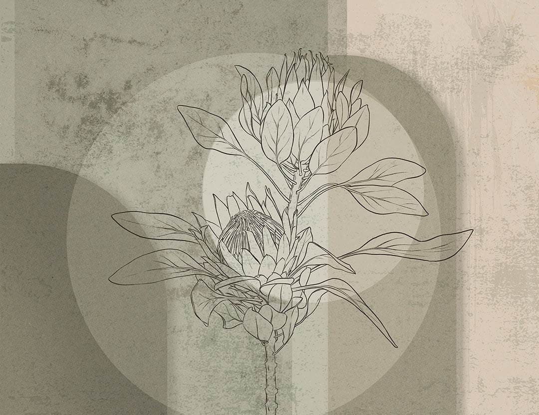 Geometric wall mural with protea flower in brown and gray colors