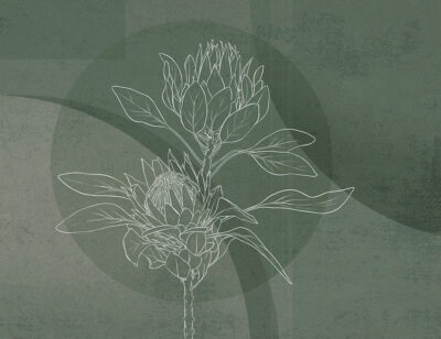 Oversized floral wall mural with protea and green geometric background