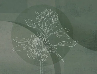 Floral wall mural with protea and green geometric background