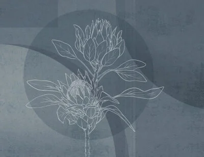 Floral wall mural with protea and blue geometric background