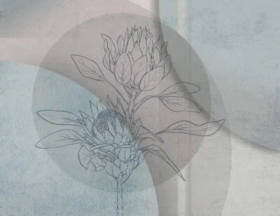 Floral wall mural with protea and pastel geometric background