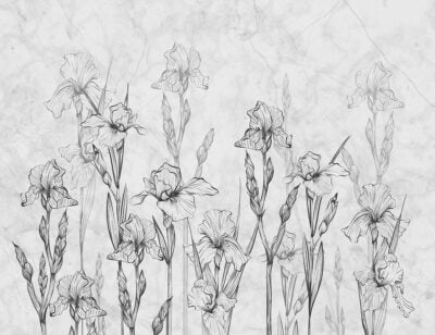 Minimalistic irises and gray marble wall mural