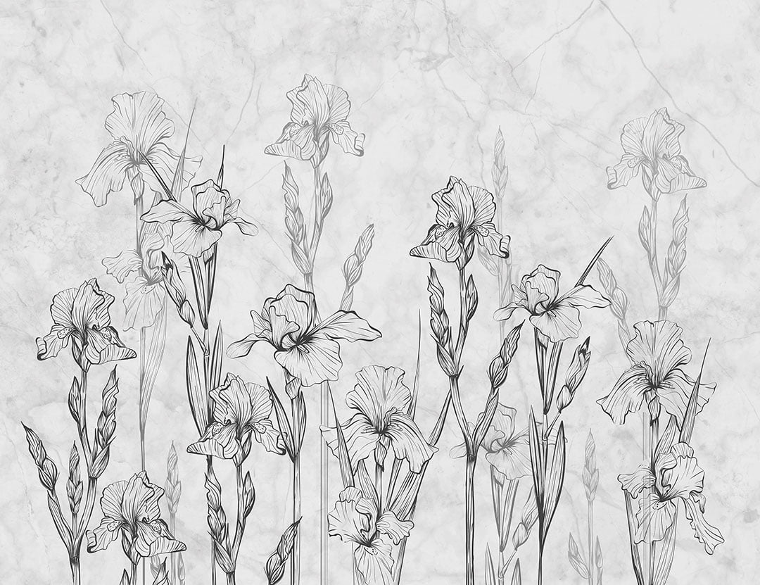 Minimalistic irises and gray marble wall mural