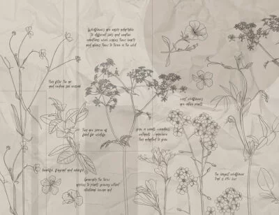 Botanical illustrations of wildflowers with inscriptions and geometry wall mural