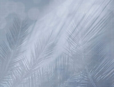 Wall mural with shadows of tropical leaves in blue colors