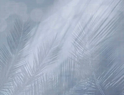 Wall mural with shadows of tropical leaves in blue colors