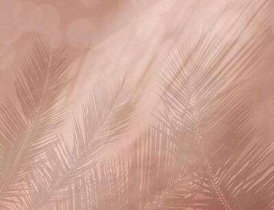 Wall mural with shadows of tropical leaves in peachy colors