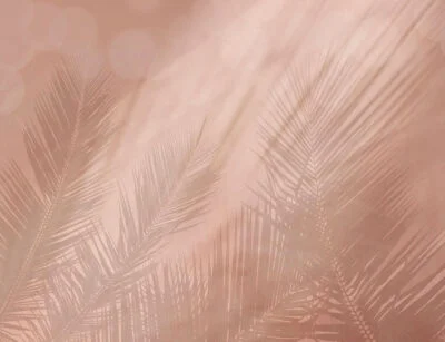 Wall mural with shadows of tropical leaves in peachy colors
