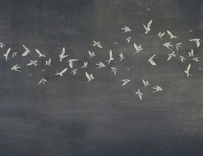 Delicate birds wall mural on a dark textured background