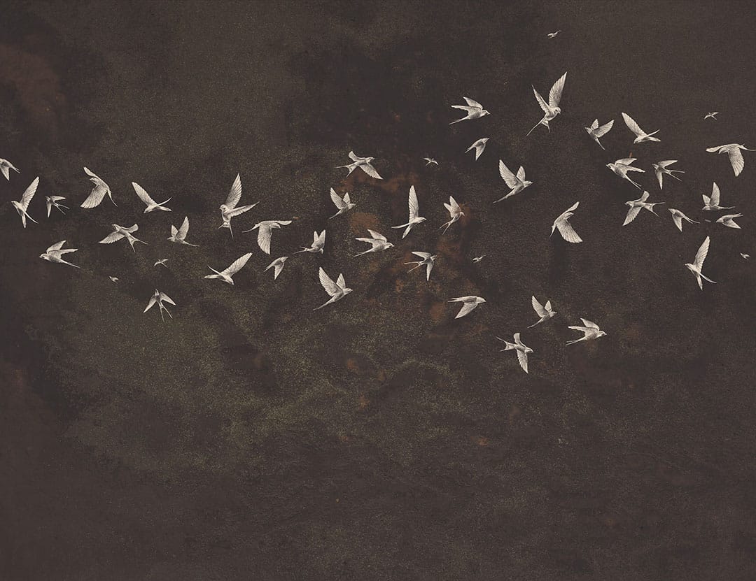 Delicate birds wall mural on a brown textured background