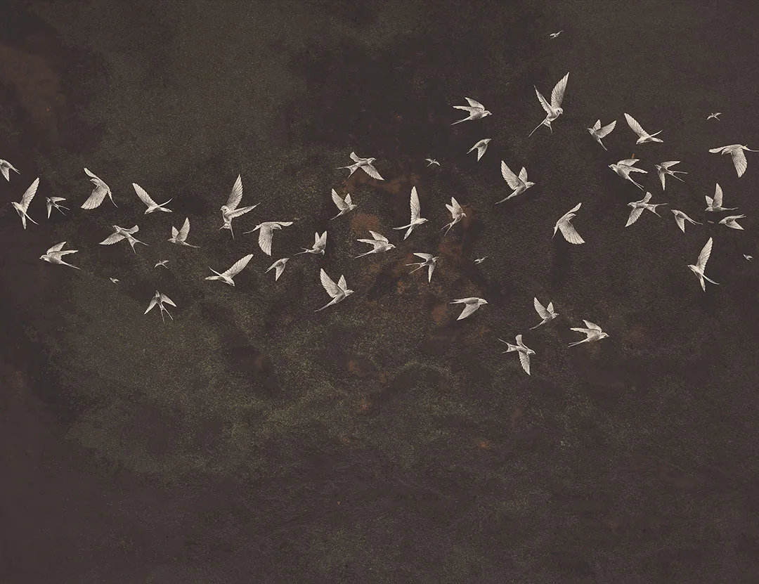 Delicate birds wall mural on a brown textured background