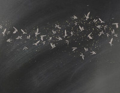 Delicate birds on a dark starry background wall mural