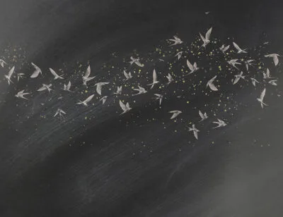 Delicate birds on a dark starry background wall mural