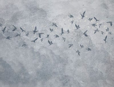 Delicate birds on a gray starry sky wall mural