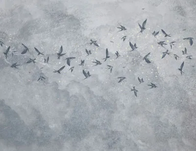 Delicate birds on a gray starry sky wall mural