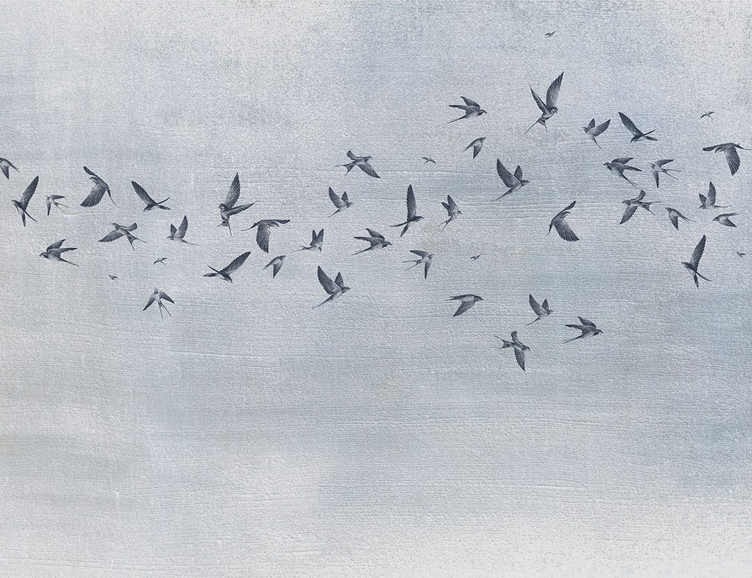 Designer wall mural with delicate birds on a blue textured background