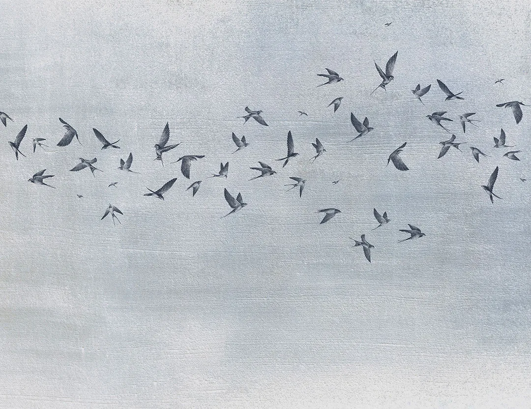 Designer wall mural with delicate birds on a blue textured background