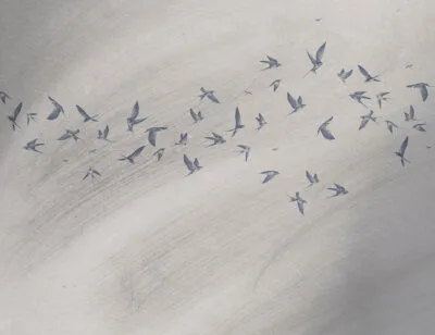 Designer wall mural with delicate birds on a gray textured background