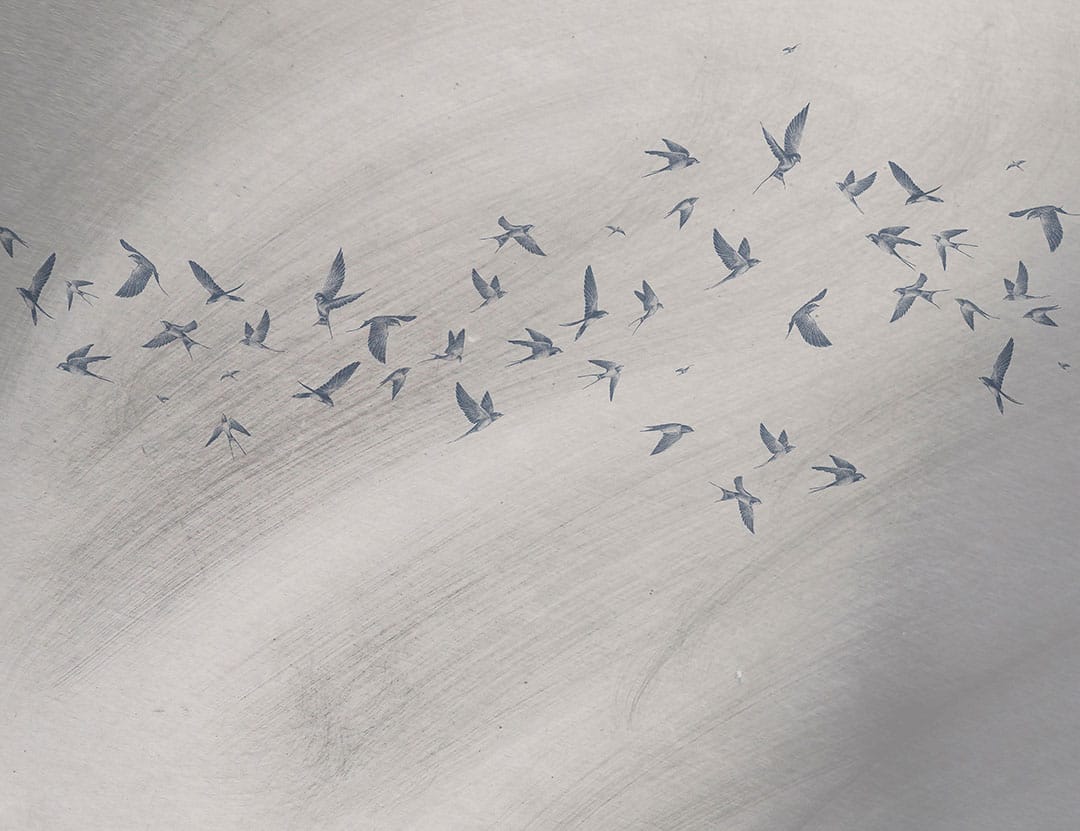 Designer wall mural with delicate birds on a gray textured background