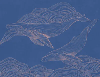Golden linear illustrated whales wall mural on the navy blue background