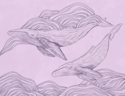 Linear illustrated whales wall mural on the purple background