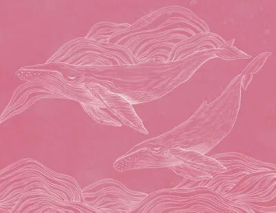 Linear illustrated whales wall mural on the pink background