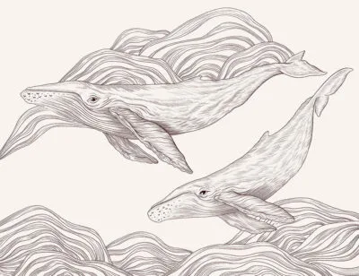 Cute illustrated whales wall mural