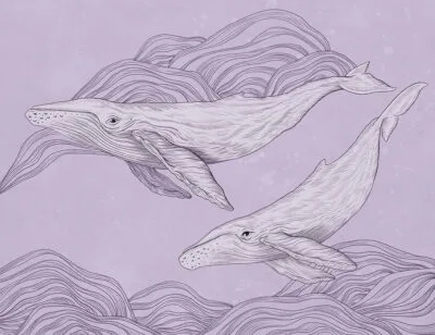 Cute illustrated whales wall mural on the purple background