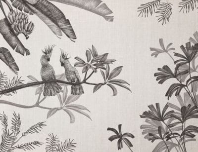 Sophisticated illustrated black tropical plants and parrots wall mural