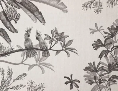 Sophisticated illustrated black tropical plants and parrots wall mural