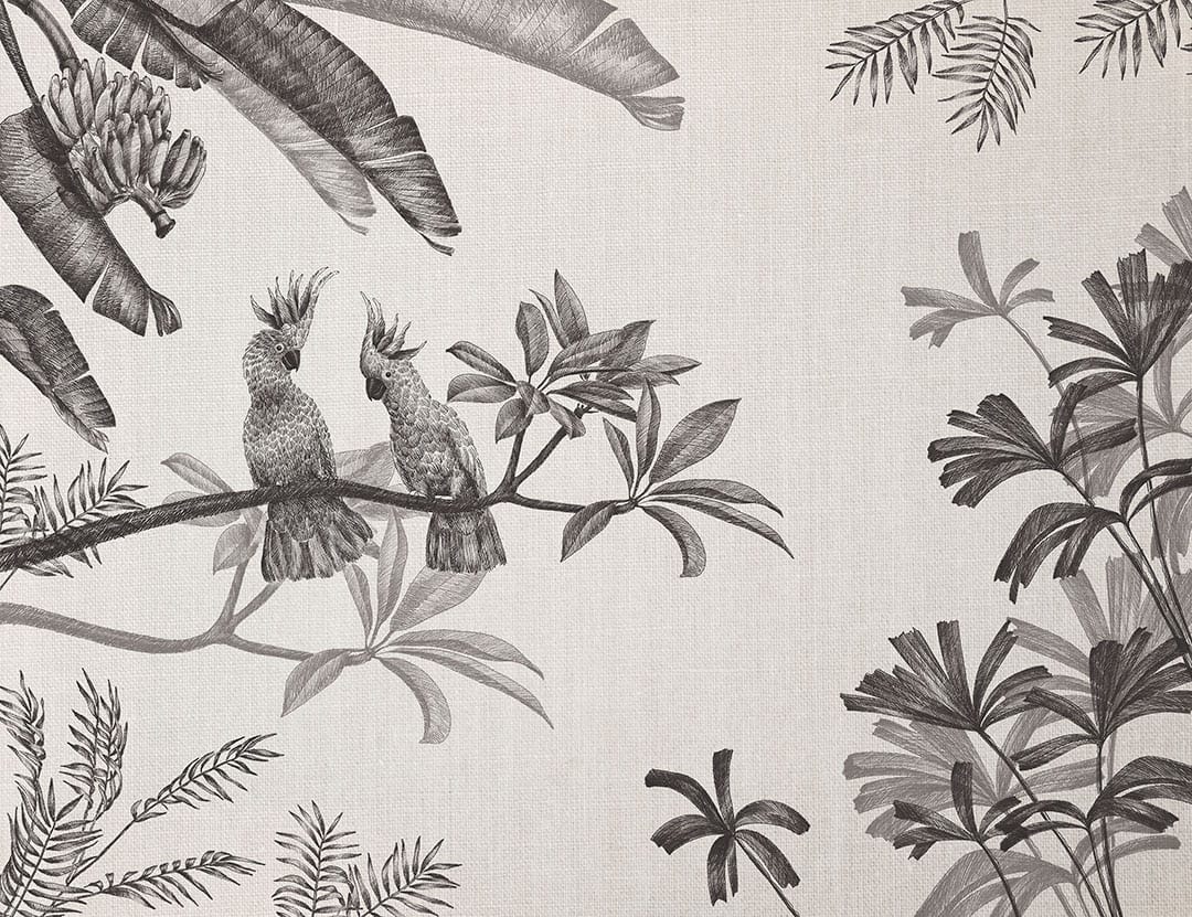 Sophisticated illustrated black tropical plants and parrots wall mural
